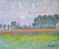 Campo di papaveri